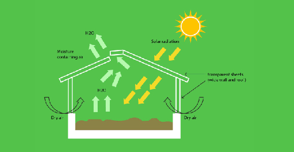 Sewage Sludge Drying Technology